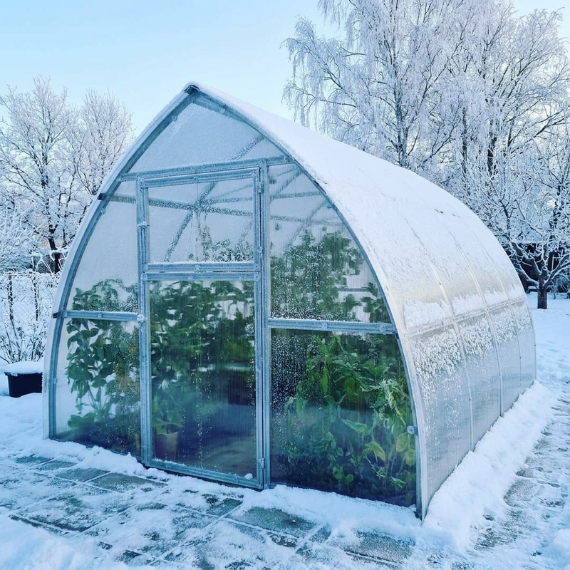 Hiver - Un refuge de verdure, même sous la neige.